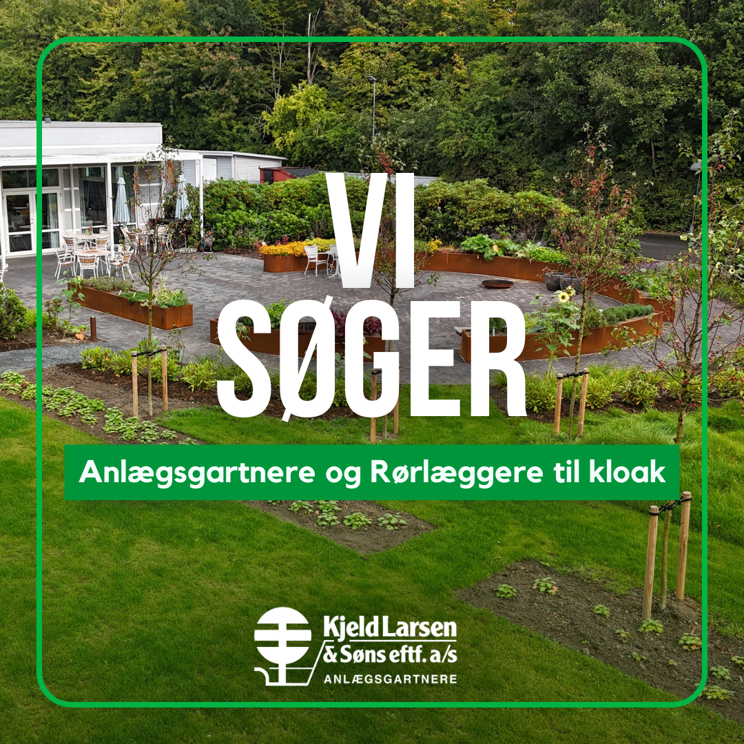 Vi søger
