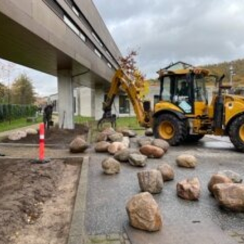 Stenhave ved p-plads05