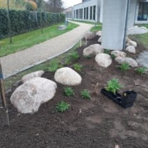 Stenhave ved p-plads10