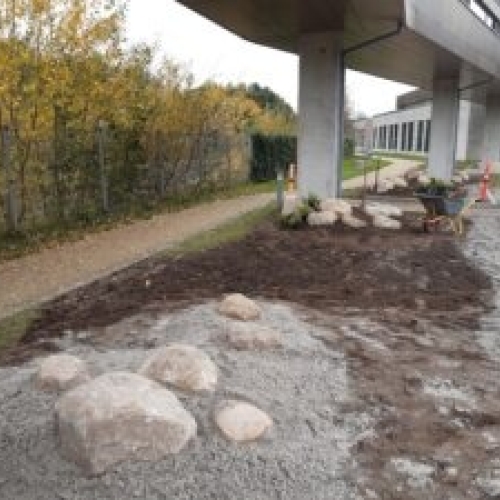 Stenhave ved p-plads08