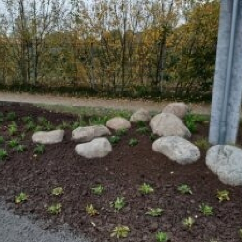 Stenhave ved p-plads11
