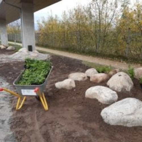 Stenhave ved p-plads09